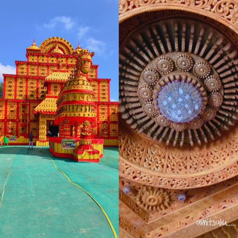 चाम्पा में साकार हो रहा भव्य टेराकोटा थीम का दुर्गा पंडाल